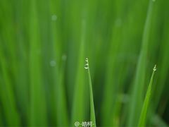 -楠溪江风景名胜区