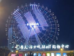-摩天活力城·摩天轮