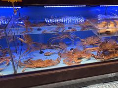 -阿伟海鲜楼·福建菜(延寿店)
