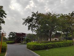 -宝安西湾红树林湿地公园