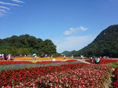 -广州市石门国家森林公园