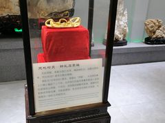 -游龙石文化科普馆