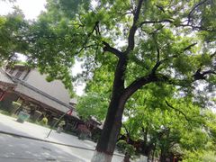 -关中书院