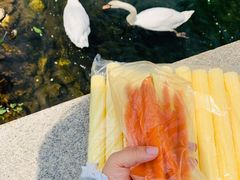 -长白岛森林公园