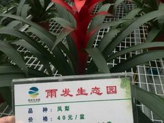 android_upload_pic-云幽谷旅游区