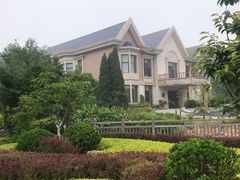 -棒棰岛宾馆景区