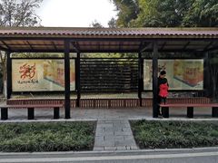 -堤角公园