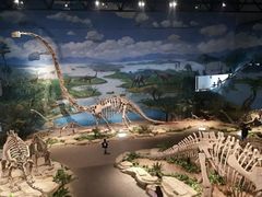 -自贡恐龙博物馆