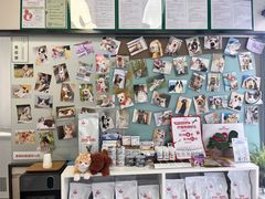 -爱妮康宠物医院·干细胞免疫细胞·肿瘤·心脏(张江店)