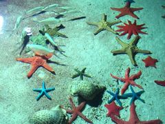 -福州罗源湾海洋世界旅游区