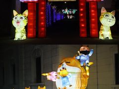-上海影视乐园