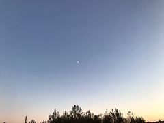 -贝林大翅鲸简餐厅(国家海洋博物馆店)