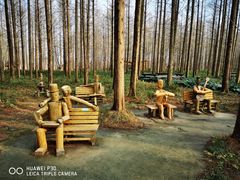 -黄海国家森林公园