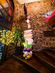 -派对猴生日派对策划(浦东店)