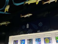 -同济大学四平路校区深海探索馆