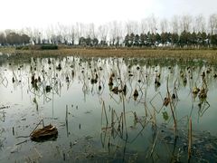 -艾溪湖湿地公园