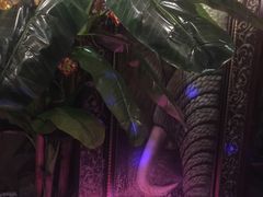 -Siam泰餐厅(水上公园店)