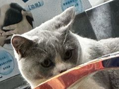 -比格比萨自助(万柳华联店)