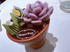 -哈根达斯(龙湖时代天街店)