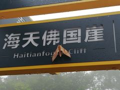 -普陀山风景区-佛顶山