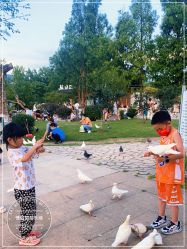 -玄武湖景区-情侣园游乐场