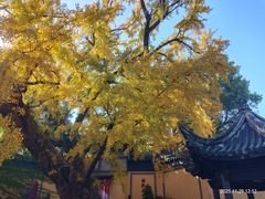 -无锡惠山寺
