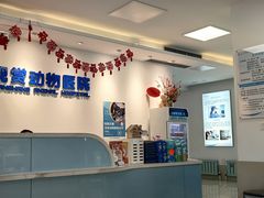-北京观赏动物医院·24小时大型综合·猫专科·异宠专科