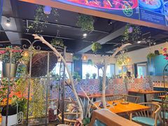 -柴窝堡22号辣子鸡·传承新疆菜