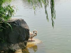 -上海怡沁园度假酒店