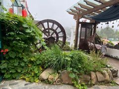 -慢丽江·云南野生菌土鸡锅(付家庄店)
