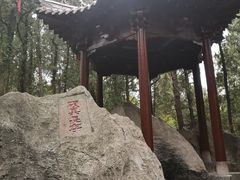 -浮来山风景区