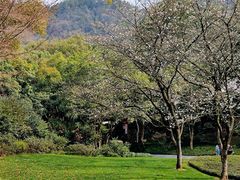 -中国茶叶博物馆(双峰馆区)