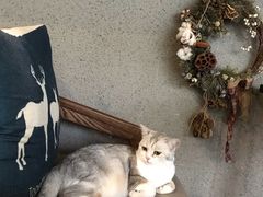 -咖法森林·咖啡  酒吧(天河店)