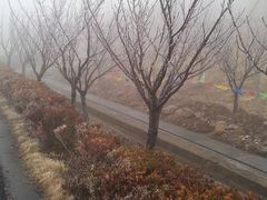 -江南天池