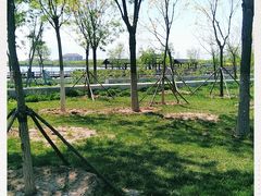 -天津东丽湖风景区