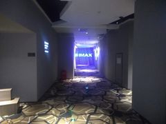 -星河寰宇IMAX影城(星河WORLD·COCO Park店)