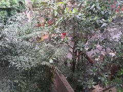 -全季酒店(广州越秀公园店)