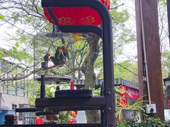 -张鸟园农家乐(张鸟园店)