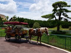 -迪茵湖田家舍生态农场