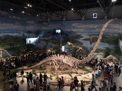 -自贡恐龙博物馆