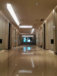 -成都首座万豪酒店·宴会厅