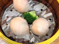 -粤港餐厅(禹州商业广场店)