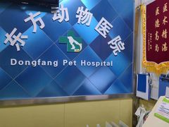 -东方动物医院·宠保定点·骨科·转诊中心(春城路·昆明站分院)