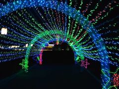 -泰山天颐湖旅游度假区