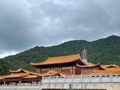 -深圳仙湖植物园