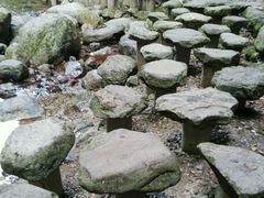 android_upload_pic-牛背梁国家森林公园