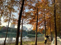-尚贤河湿地