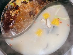 红汤梭边鱼锅-新辣道鱼火锅(西直门店)