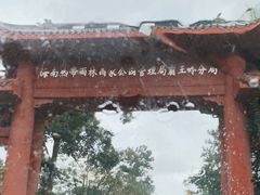 -海南霸王岭国家森林公园