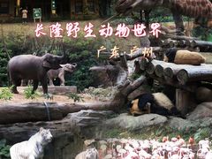 -广州长隆野生动物世界